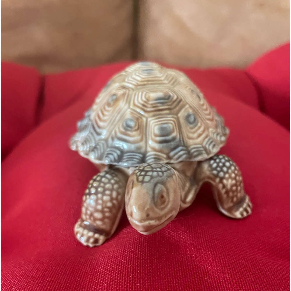 Small turtle